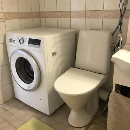 Scandinavian Taiteilijan 3h Apartment *