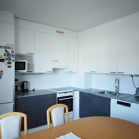 Scandinavian Taiteilijan 3h Apartment