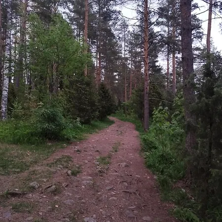 Scandinavian Taiteilijan 3h Apartment